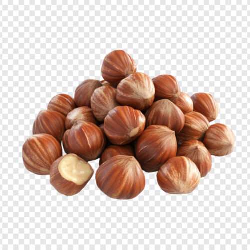Noisettes